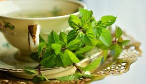 خواص دمنوش ریحان برای سلامت + طرز تهیه