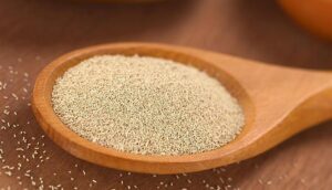 نکات مهم در استفاده از خمیر مایه