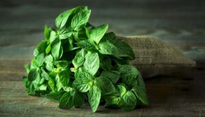 عرق نعناع و 14 خاصیت شگفت انگیز